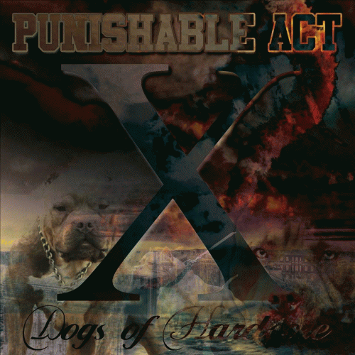 Punishable Act : X